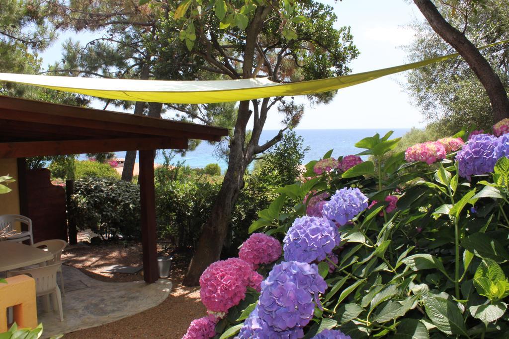 Les Bungalows De Figha Tarcu Exterior photo